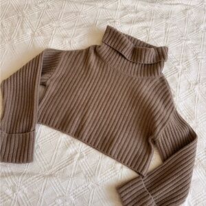 Dynamite Cropped Ribbed Turtleneck Sweater - Taupe Brown